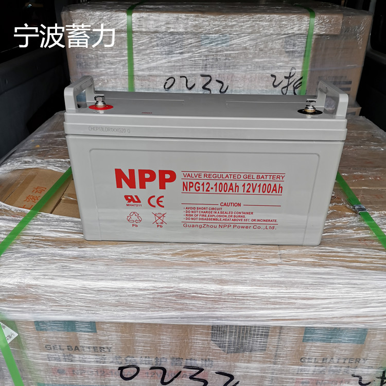 NPP100AH .jpg